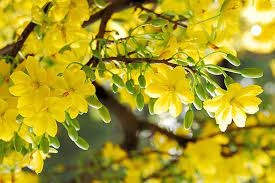 https://vinaoffice.thanhlynoithat.com/images/news/full/vinaoffice_full_22572023_095702.jpg